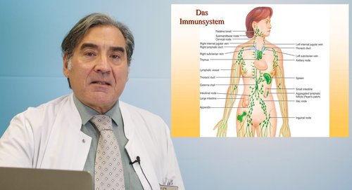 Palestra sobre imunoterapia contra o cancro pelo Prof. Flieger